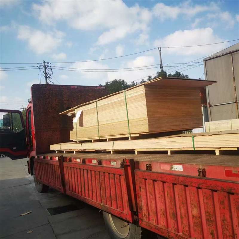 瑞安到河北物流公司——一站式服务，让货运更便捷